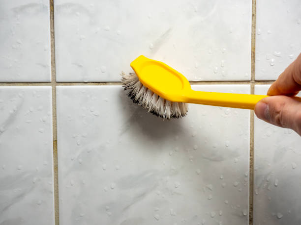 Best Residential Mold Removal  in South Pasadena, CA