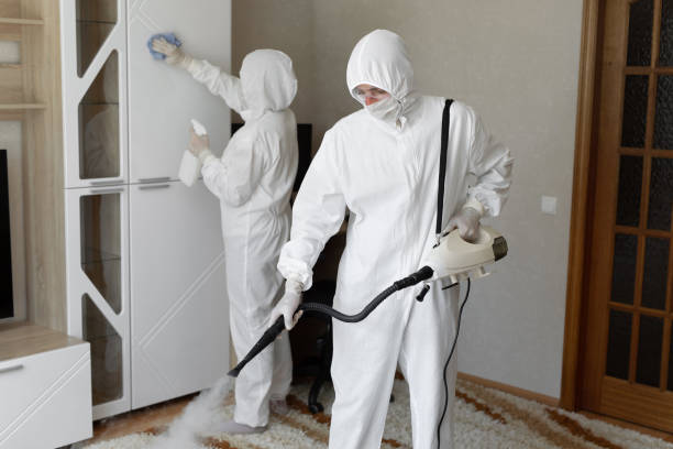 Water Damage Restoration in South Pasadena, CA