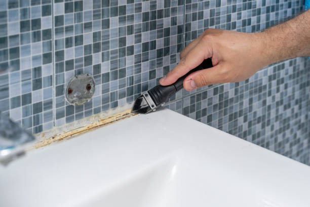Best Mold Removal Near Me  in South Pasadena, CA