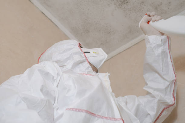 Water Damage Restoration in South Pasadena, CA