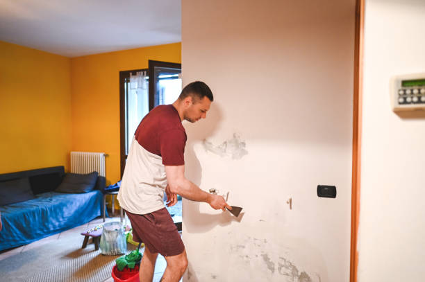 Best Mold Damage Repair  in South Pasadena, CA